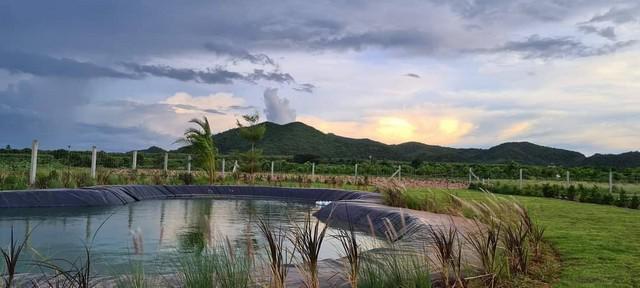 ที่ดิน 800000 กาญจนบุรี ท่าม่วง หนองตากยา ที่ดิน 800000 กาญจนบุรี ท่าม่วง หนองตากยา