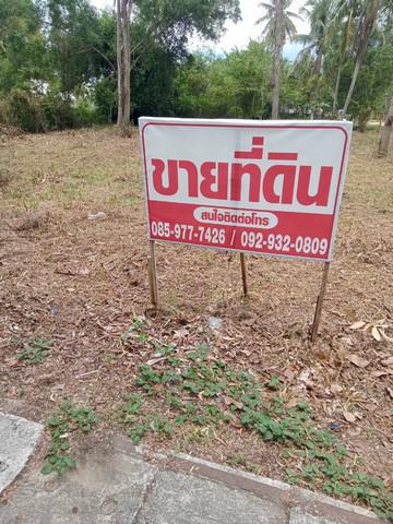 ที่ดิน 1590000 สงขลา สทิงพระ จะทิ้งพระ