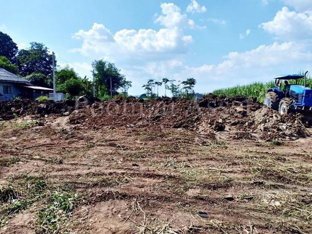 ที่ดิน 2390000 ราชบุรี โพธาราม หนองกวาง ที่ดิน 2390000 ราชบุรี โพธาราม หนองกวาง
