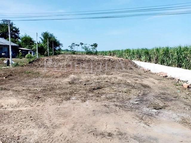 ที่ดิน 2390000 ราชบุรี โพธาราม หนองกวาง ที่ดิน 2390000 ราชบุรี โพธาราม หนองกวาง