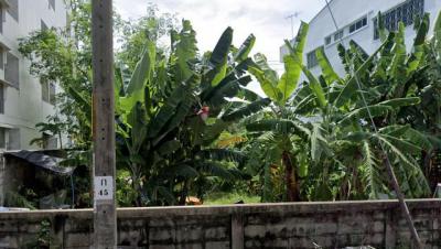 ที่ดิน 6000000 กรุงเทพมหานคร เขตประเวศ หนองบอน