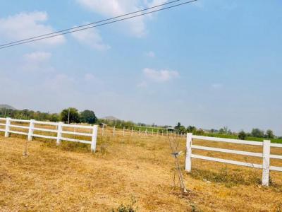 ที่ดิน 450000 กาญจนบุรี เลาขวัญ หนองประดู่
