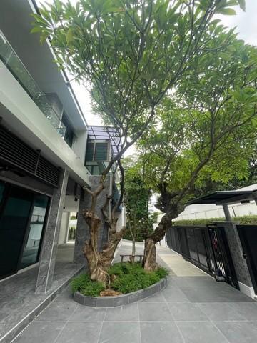 บ้านเดี่ยว 28900000 กรุงเทพมหานคร เขตบางเขน อนุสาวรีย์ บ้านเดี่ยว 28900000 กรุงเทพมหานคร เขตบางเขน อนุสาวรีย์
