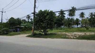 ที่ดิน 7500000 สุราษฎร์ธานี เกาะพะงัน เกาะพะงัน