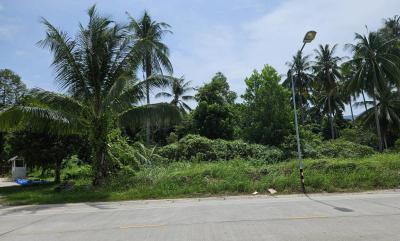 ที่ดิน 7500000 สุราษฎร์ธานี เกาะพะงัน เกาะพะงัน