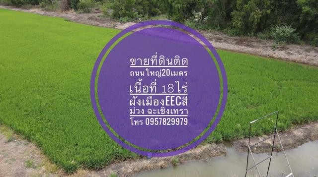 ที่ดิน 55000000 ฉะเชิงเทรา เมืองฉะเชิงเทรา คลองอุดมชลจร ที่ดิน 55000000 ฉะเชิงเทรา เมืองฉะเชิงเทรา คลองอุดมชลจร