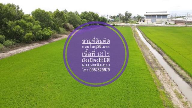 ที่ดิน 55000000 ฉะเชิงเทรา เมืองฉะเชิงเทรา คลองอุดมชลจร ที่ดิน 55000000 ฉะเชิงเทรา เมืองฉะเชิงเทรา คลองอุดมชลจร