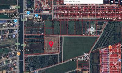 ที่ดิน 2500000 ปทุมธานี หนองเสือ บึงบอน