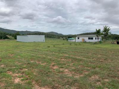 ที่ดิน 55000 กาญจนบุรี พนมทวน หนองโรง