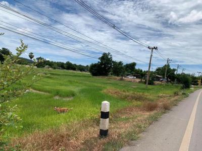 ที่ดิน 350000 กาญจนบุรี พนมทวน หนองโรง