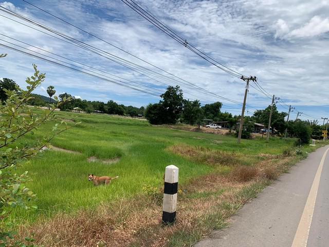 ที่ดิน 350000 กาญจนบุรี พนมทวน หนองโรง ที่ดิน 350000 กาญจนบุรี พนมทวน หนองโรง