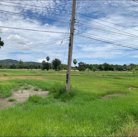 ที่ดิน 350000 กาญจนบุรี พนมทวน หนองโรง ที่ดิน 350000 กาญจนบุรี พนมทวน หนองโรง