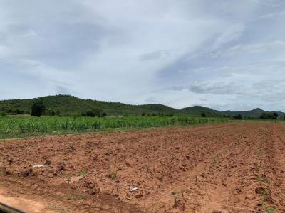 ที่ดิน 48000 กาญจนบุรี พนมทวน หนองโรง