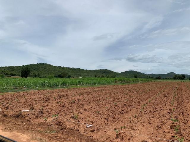 ที่ดิน 48000 กาญจนบุรี พนมทวน หนองโรง ที่ดิน 48000 กาญจนบุรี พนมทวน หนองโรง
