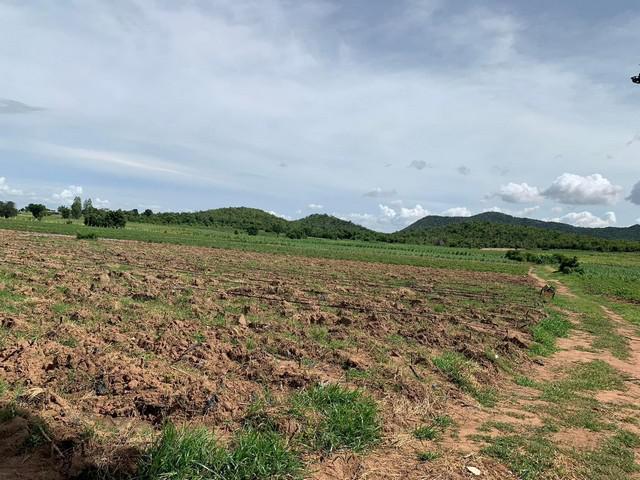 ที่ดิน 48000 กาญจนบุรี พนมทวน หนองโรง ที่ดิน 48000 กาญจนบุรี พนมทวน หนองโรง