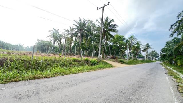 ที่ดิน 6800 ประจวบคีรีขันธ์ บางสะพานน้อย ทรายทอง ที่ดิน 6800 ประจวบคีรีขันธ์ บางสะพานน้อย ทรายทอง