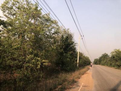 ที่ดิน 300000 ตาก บ้านตาก ตากตก