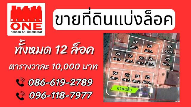 ที่ดิน 10000 นครศรีธรรมราช ทุ่งสง ที่วัง ที่ดิน 10000 นครศรีธรรมราช ทุ่งสง ที่วัง
