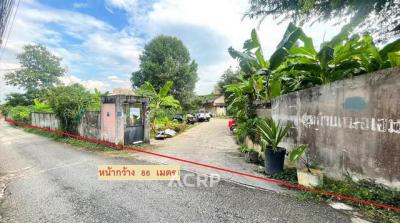 ที่ดิน 23508000 เชียงใหม่ เมืองเชียงใหม่ ช้างเผือก