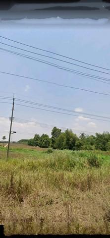 ที่ดิน 60000000 ระยอง บ้านค่าย หนองละลอก