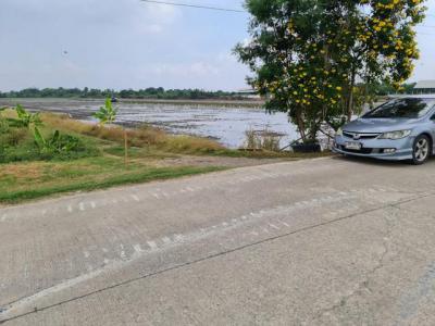 ที่ดิน 800000 ปทุมธานี ลาดหลุมแก้ว บ่อเงิน