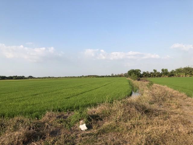 ที่ดิน 800000 ปทุมธานี ลาดหลุมแก้ว บ่อเงิน ที่ดิน 800000 ปทุมธานี ลาดหลุมแก้ว บ่อเงิน