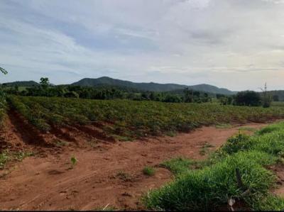 ที่ดิน 45000 กาญจนบุรี พนมทวน หนองโรง