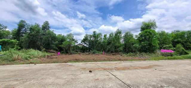 ที่ดิน 200000 ปทุมธานี หนองเสือ บึงบา ที่ดิน 200000 ปทุมธานี หนองเสือ บึงบา