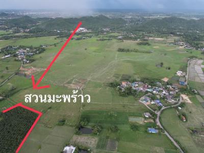 ที่ดิน 450000 ราชบุรี เมืองราชบุรี ดอนแร่