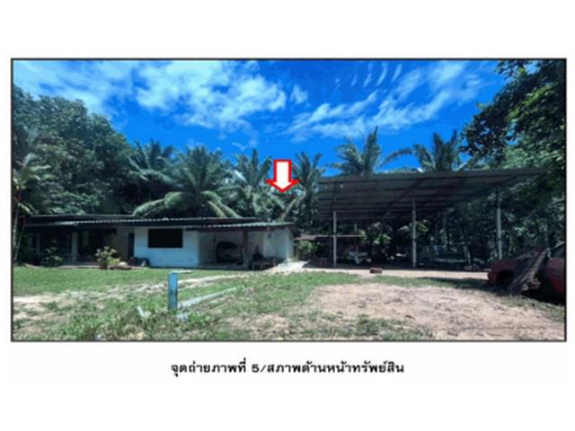 บ้านเดี่ยว 900000 สุราษฎร์ธานี ท่าชนะ วัง บ้านเดี่ยว 900000 สุราษฎร์ธานี ท่าชนะ วัง