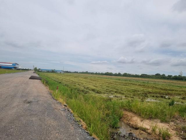 ที่ดิน 3000000 ฉะเชิงเทรา เมืองฉะเชิงเทรา คลองอุดมชลจร ที่ดิน 3000000 ฉะเชิงเทรา เมืองฉะเชิงเทรา คลองอุดมชลจร