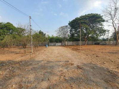 ที่ดิน 18900000 ปทุมธานี สามโคก บ้านงิ้ว