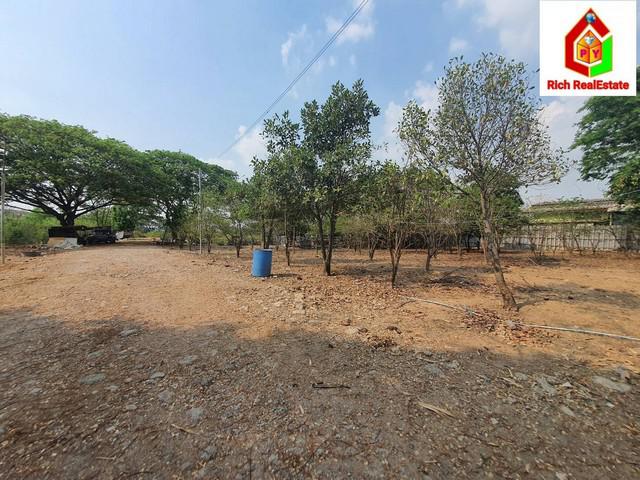 ที่ดิน 18900000 ปทุมธานี สามโคก บ้านงิ้ว ที่ดิน 18900000 ปทุมธานี สามโคก บ้านงิ้ว