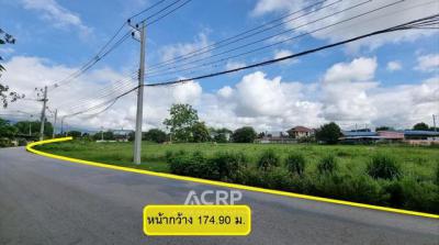 ที่ดิน 74800000 เชียงใหม่ เมืองเชียงใหม่ สันผีเสื้อ