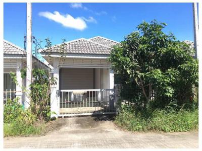 บ้านเดี่ยว 1650000 สุราษฎร์ธานี เมืองสุราษฎร์ธานี มะขามเตี้ย