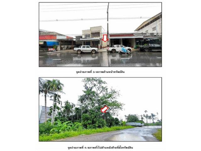 บ้านเดี่ยว 12050000 สุราษฎร์ธานี เวียงสระ บ้านส้อง บ้านเดี่ยว 12050000 สุราษฎร์ธานี เวียงสระ บ้านส้อง