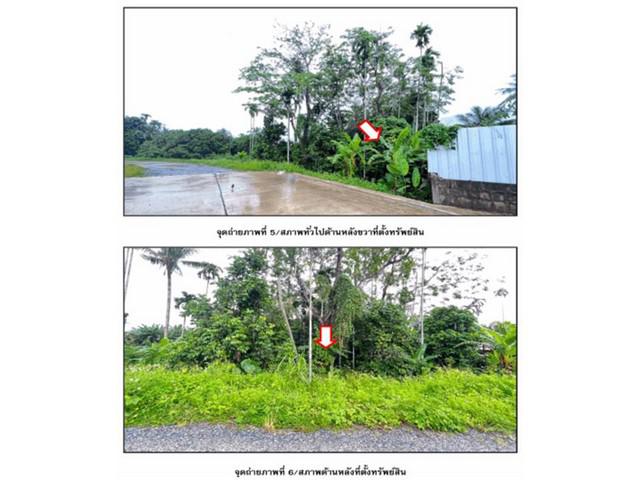 บ้านเดี่ยว 12050000 สุราษฎร์ธานี เวียงสระ บ้านส้อง บ้านเดี่ยว 12050000 สุราษฎร์ธานี เวียงสระ บ้านส้อง