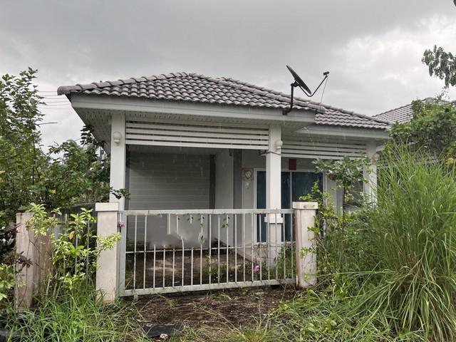 บ้านเดี่ยว 1850000 สุราษฎร์ธานี เมืองสุราษฎร์ธานี มะขามเตี้ย บ้านเดี่ยว 1850000 สุราษฎร์ธานี เมืองสุราษฎร์ธานี มะขามเตี้ย