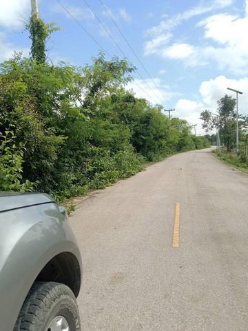 ที่ดิน 1500000 ลำปาง เกาะคา เกาะคา