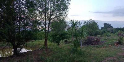 ที่ดิน 35000000 นครราชสีมา ปากช่อง หนองสาหร่าย