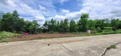 ที่ดิน 490000 ปทุมธานี หนองเสือ บึงบา