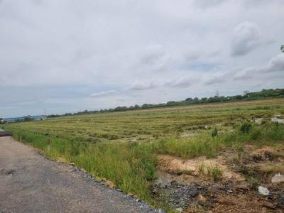 ที่ดิน 25000000 ฉะเชิงเทรา เมืองฉะเชิงเทรา คลองอุดมชลจร