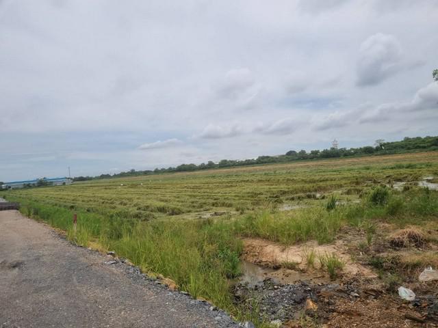 ที่ดิน 25000000 ฉะเชิงเทรา เมืองฉะเชิงเทรา คลองอุดมชลจร ที่ดิน 25000000 ฉะเชิงเทรา เมืองฉะเชิงเทรา คลองอุดมชลจร