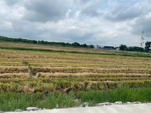 ที่ดิน 25000000 ฉะเชิงเทรา เมืองฉะเชิงเทรา คลองอุดมชลจร ที่ดิน 25000000 ฉะเชิงเทรา เมืองฉะเชิงเทรา คลองอุดมชลจร