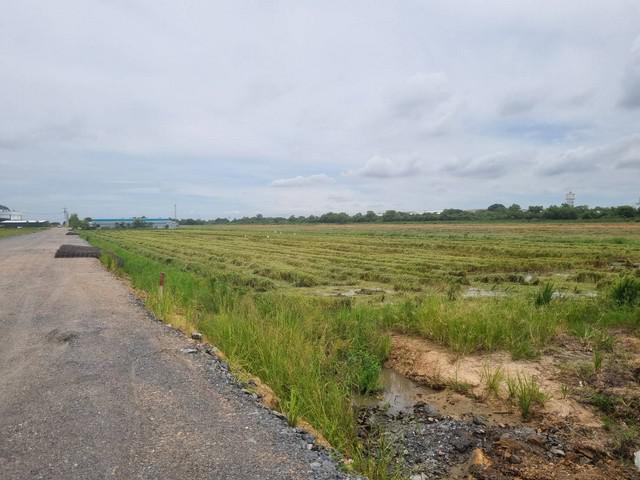 ที่ดิน 25000000 ฉะเชิงเทรา เมืองฉะเชิงเทรา คลองอุดมชลจร ที่ดิน 25000000 ฉะเชิงเทรา เมืองฉะเชิงเทรา คลองอุดมชลจร