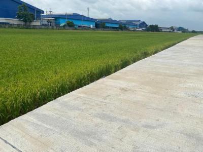 ที่ดิน 3500000 ฉะเชิงเทรา เมืองฉะเชิงเทรา คลองอุดมชลจร