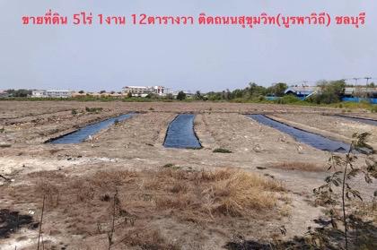 ที่ดิน 79200000 ชลบุรี เมืองชลบุรี คลองตำหรุ