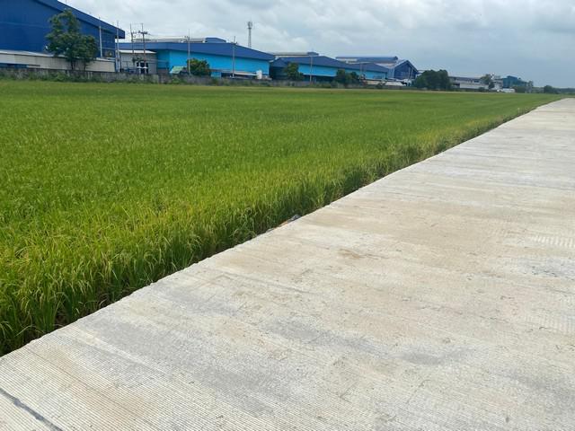 ที่ดิน 3500000 ฉะเชิงเทรา เมืองฉะเชิงเทรา คลองอุดมชลจร ที่ดิน 3500000 ฉะเชิงเทรา เมืองฉะเชิงเทรา คลองอุดมชลจร