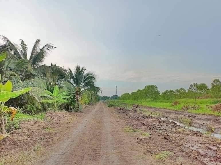 ที่ดิน 780000 ปทุมธานี หนองเสือ ศาลาครุ ที่ดิน 780000 ปทุมธานี หนองเสือ ศาลาครุ