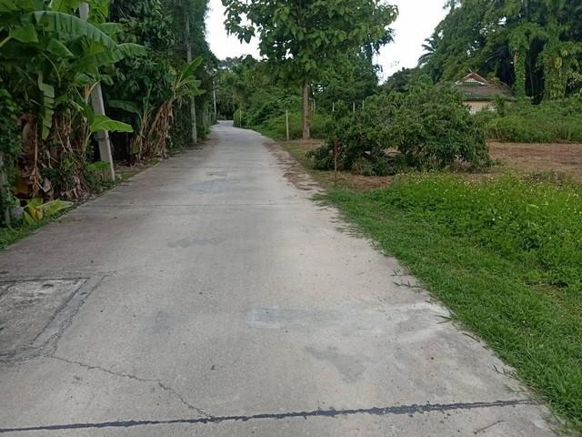ที่ดิน 3430000 เชียงใหม่ สารภี ยางเนิ้ง ที่ดิน 3430000 เชียงใหม่ สารภี ยางเนิ้ง